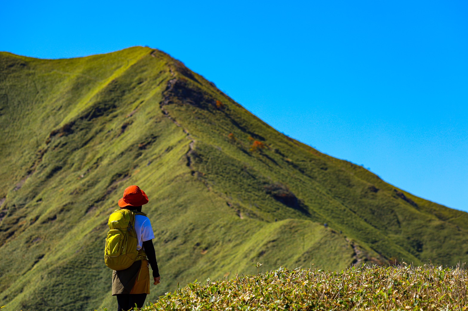 EF70-300mm F4-5.6 IS II USM　登山