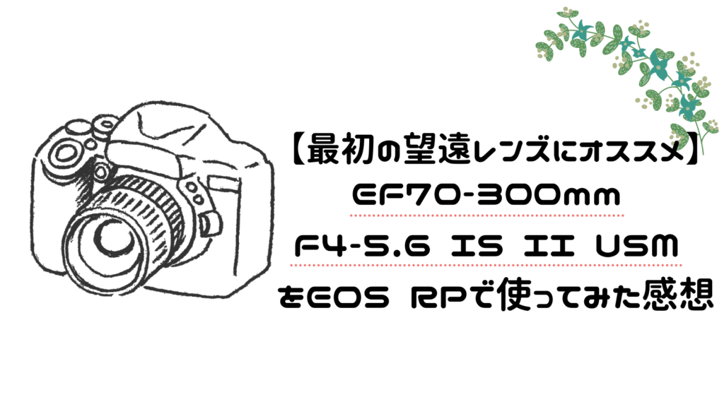 【最初の望遠レンズにオススメ】EF70300mm F45.6 IS II USM をEOS RPで使ってみた感想 ゆるふわ夫婦の日常 【最初の望遠レンズにオススメ】EF70300mm F45.6 IS II USM をEOS RPで使ってみた感想 ゆるふわ夫婦の日常