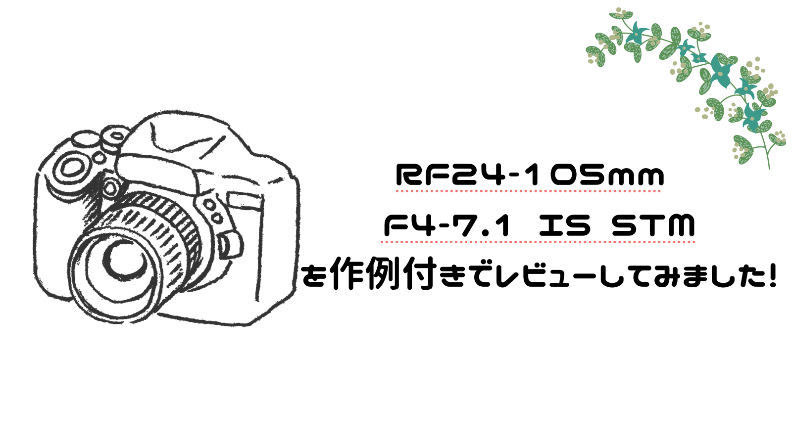 RF24-105mm F4-7.1 IS STM